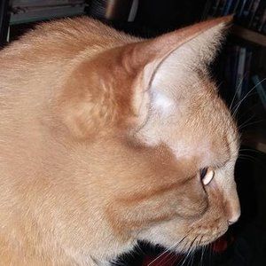 Meet your Posher, Maureen